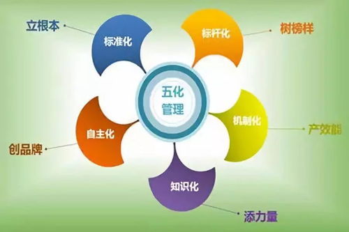 掌握班组管理4大要点,实现合理配置班组人员