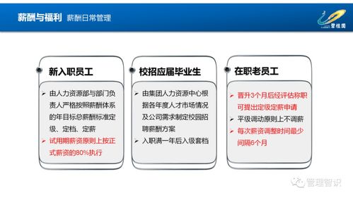 第一房企碧桂园人力资源管理体系图解