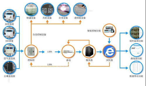 智慧农业 让农业变得更 聪明