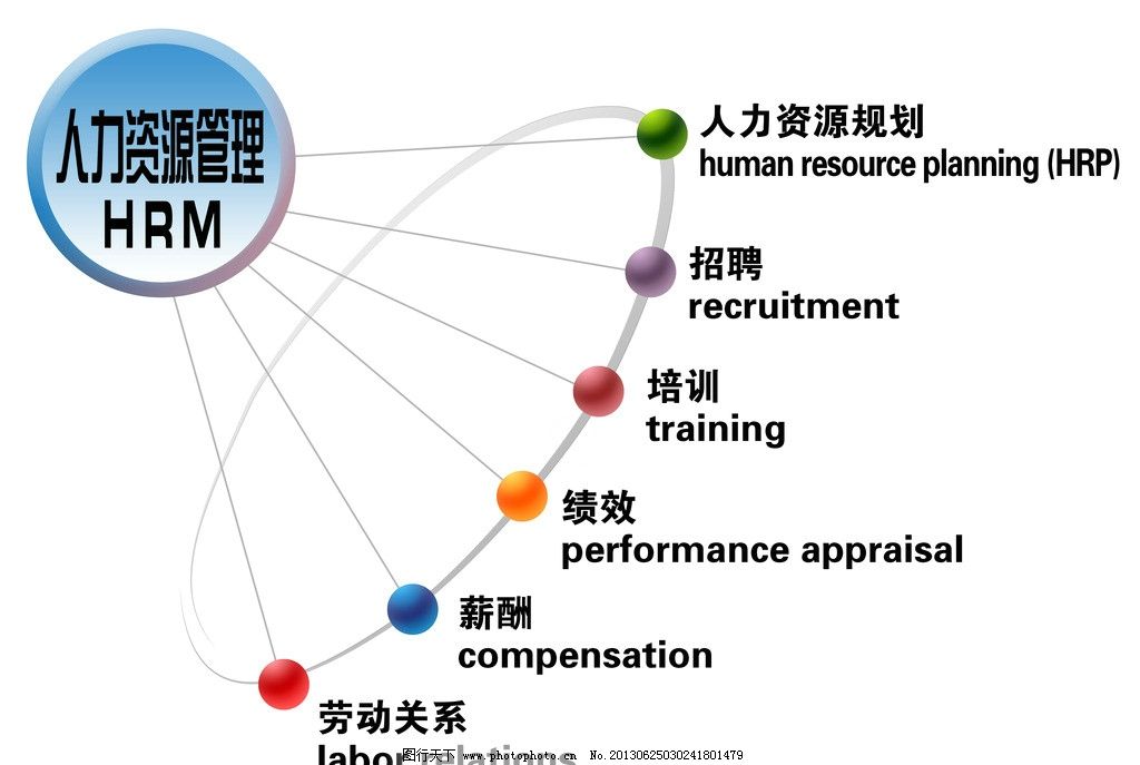 人力管理分支图展板图片